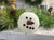 Snowman Snowball Candle | Flicker Flame | Battery Operated