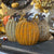 Harvest Pumpkin Sitter