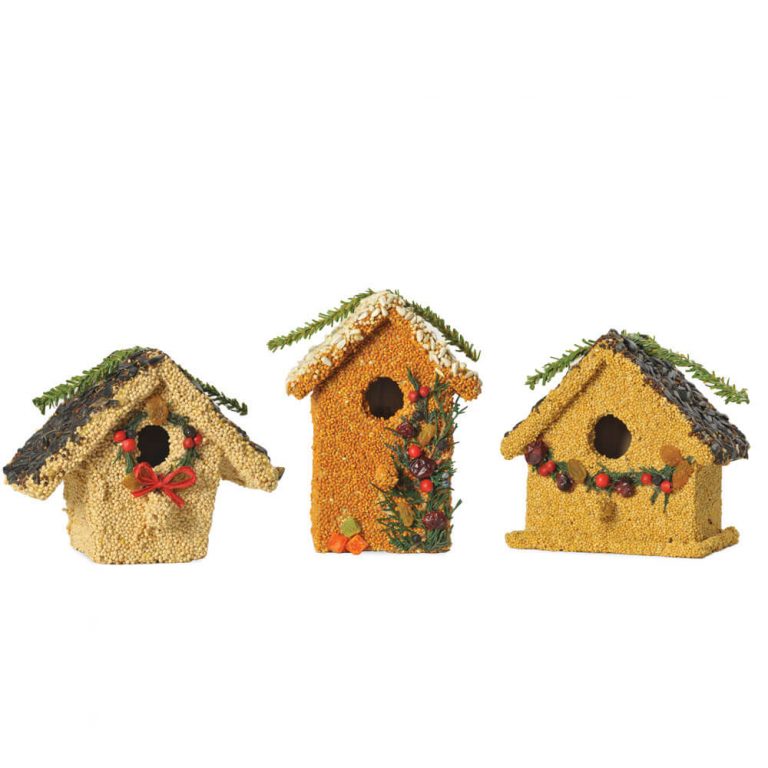 Birdseed | Birdie Cottage Birdhouse