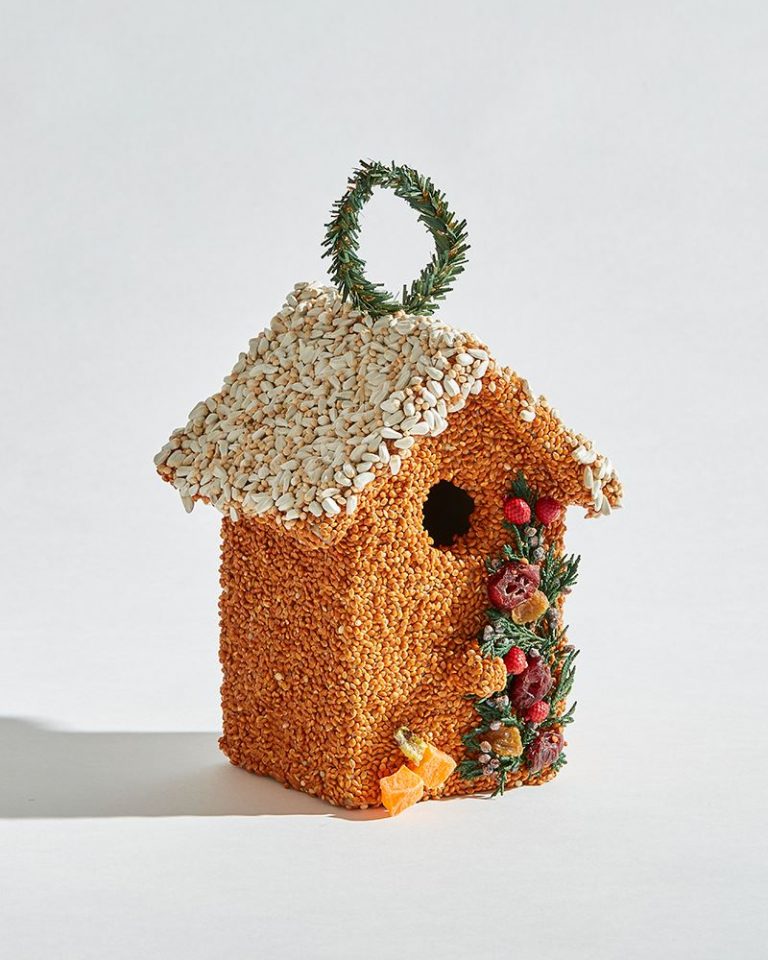 Birdseed | Birdie Cottage Birdhouse