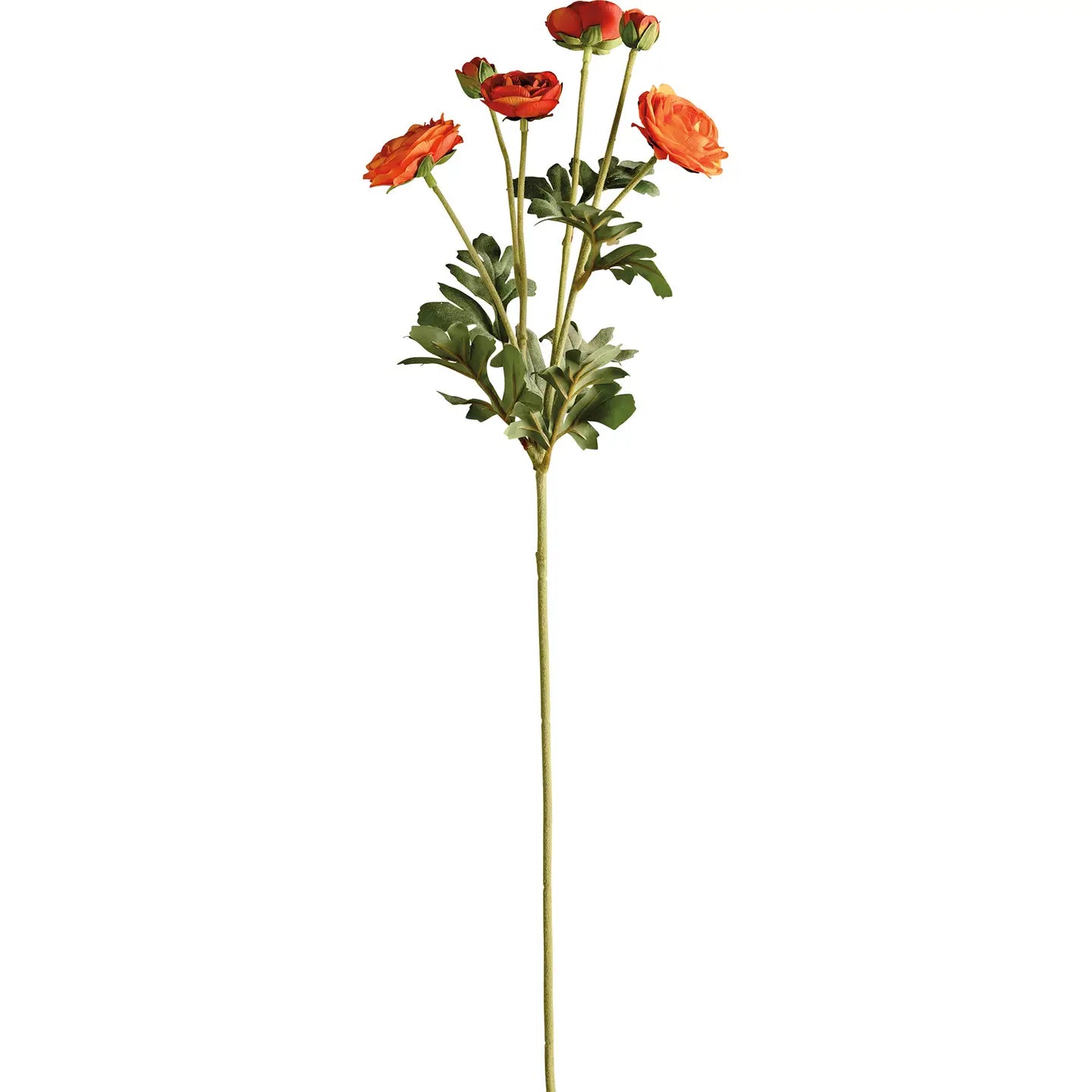 Orange Ranunculus Floral Pick