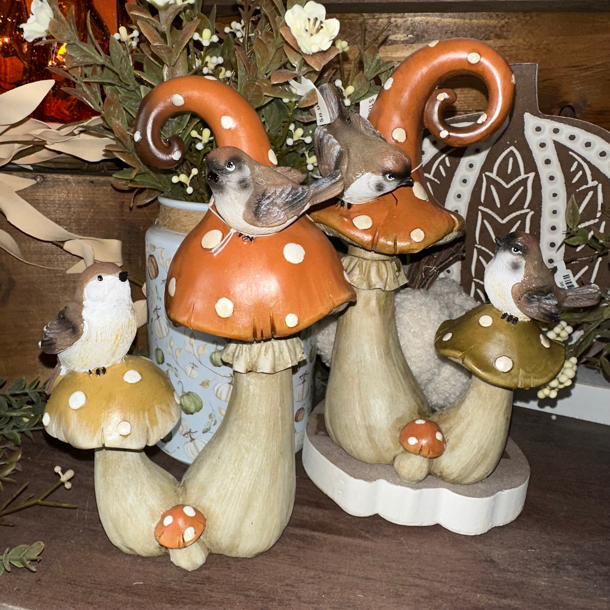 Harvest Mushrooms with Birds