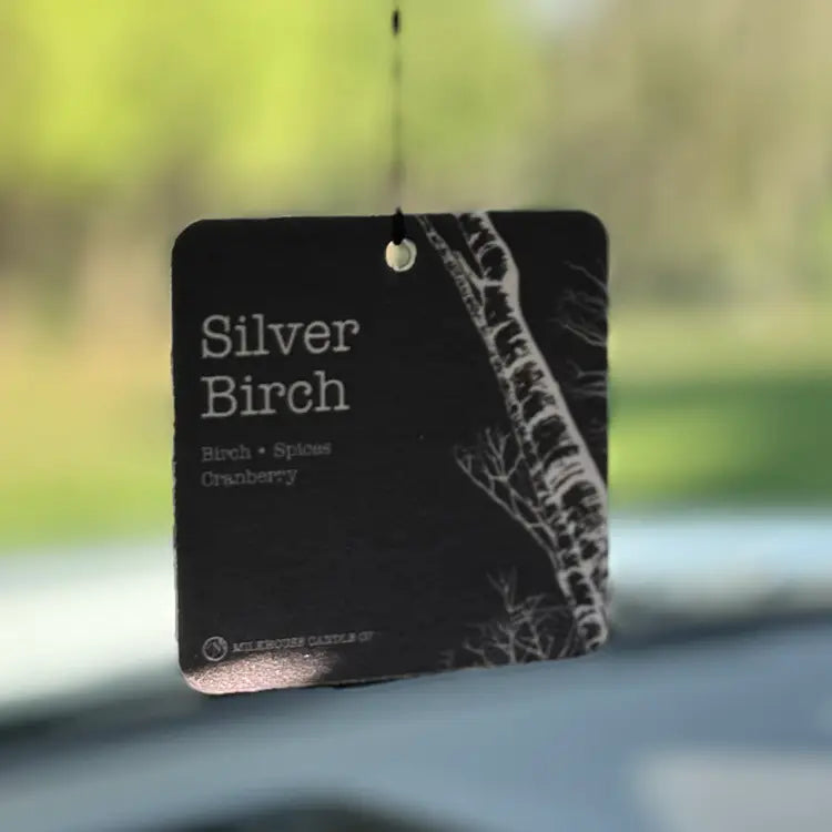 Silver Birch | Car Freshener, Soy Candle &amp; Wax Melts