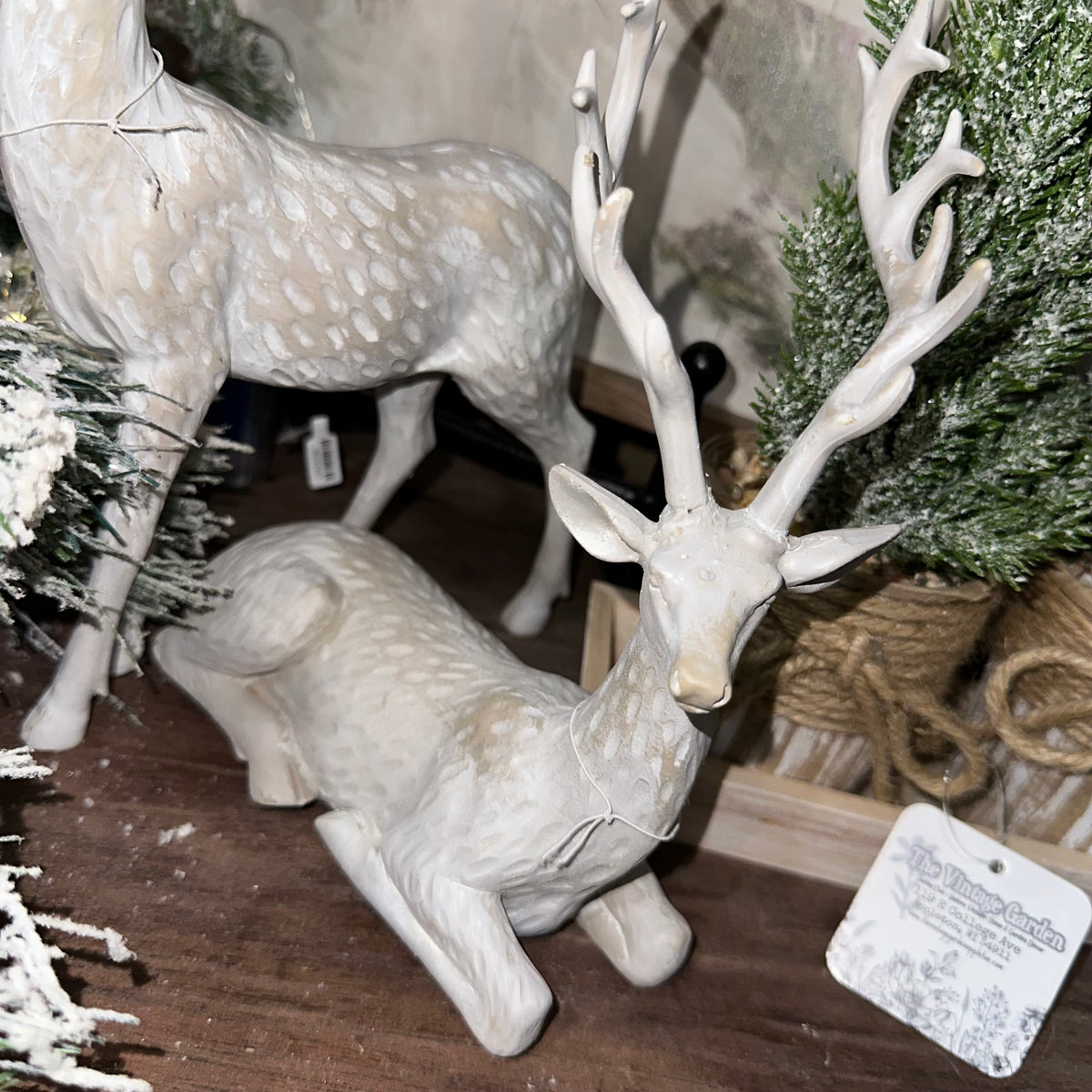 Winter Deer | Whitewashed
