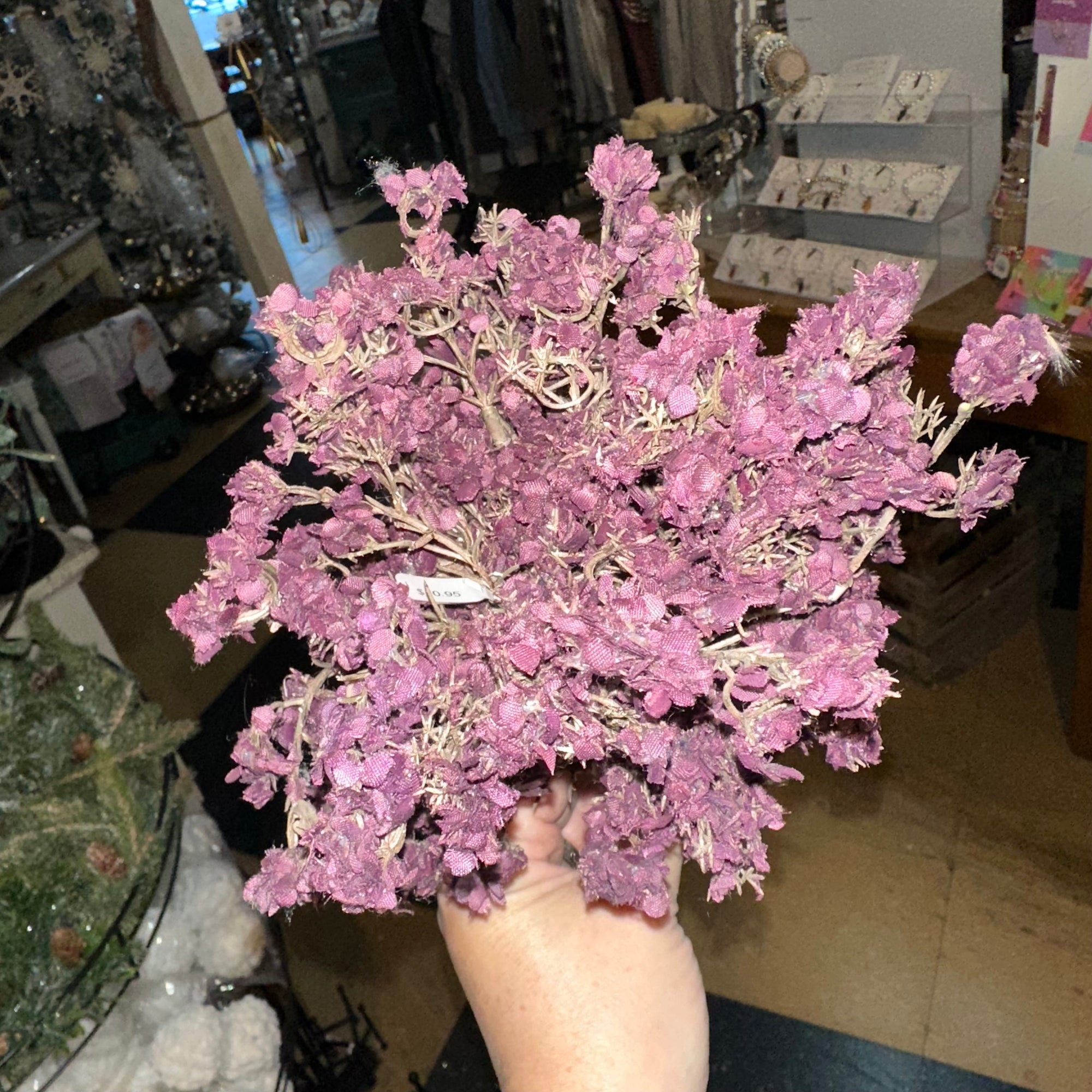 Bud Bush | Plum | Bundle of 3 Bushes