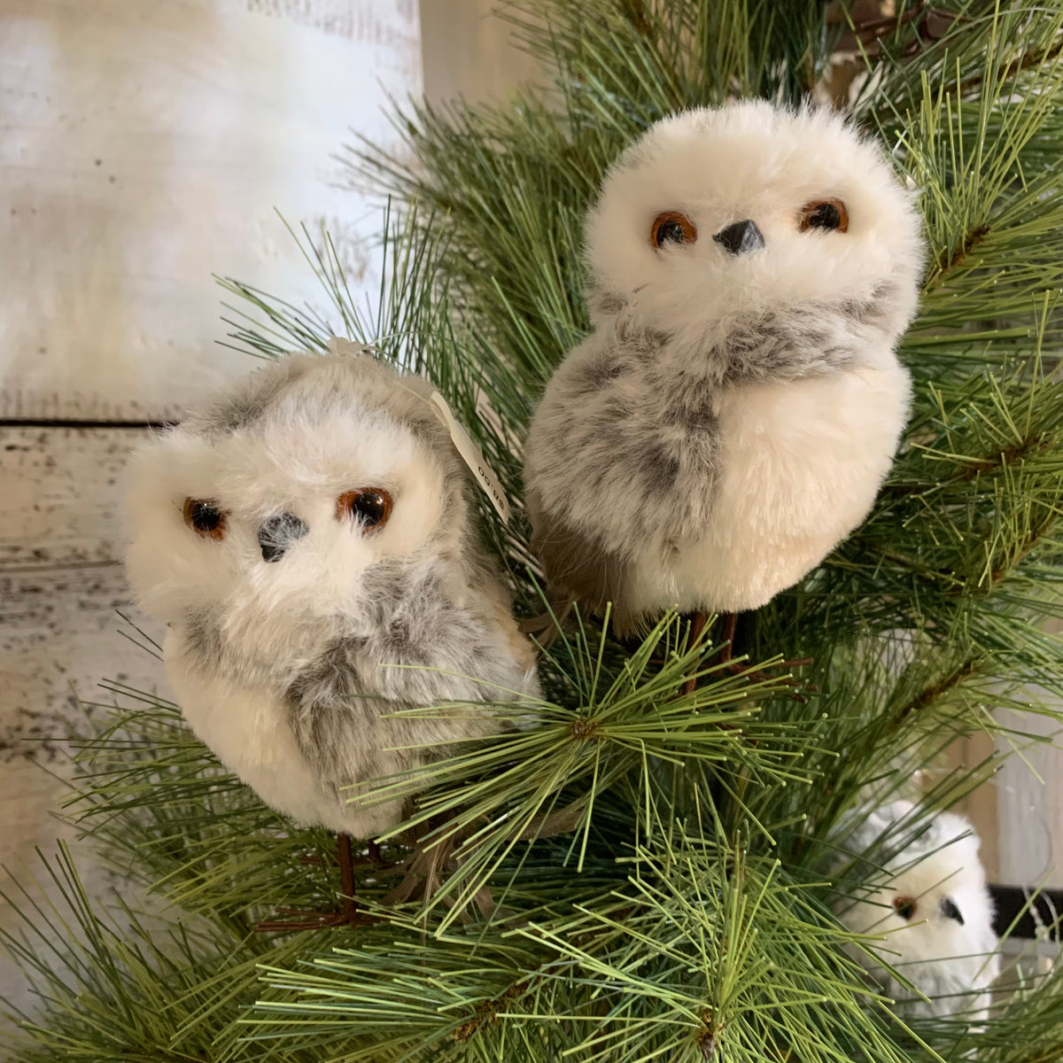 Fuzzy Snow Owl | Ornament