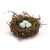 Twiggy Nest with Eggs