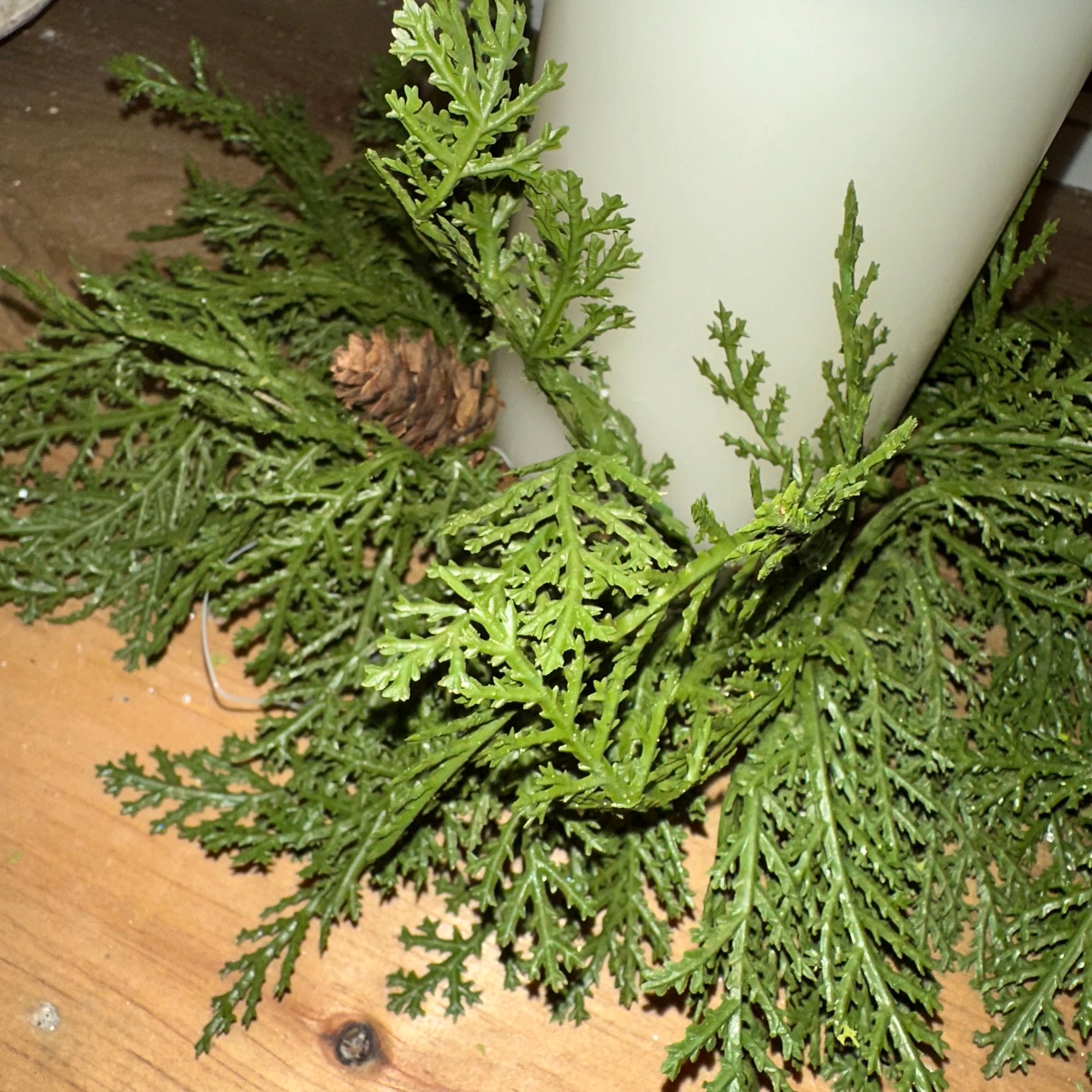 Cedar Pine Ring | Soft Touch