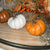 Squatty Harvest Pumpkin