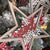 Star Snowflake | Ornament