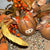 Harvest Pumpkin Highland Cow