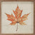Maple Leaf | Wall Art