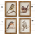 Backyard Bird Prints | 9"