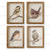 Backyard Bird Prints | 9"
