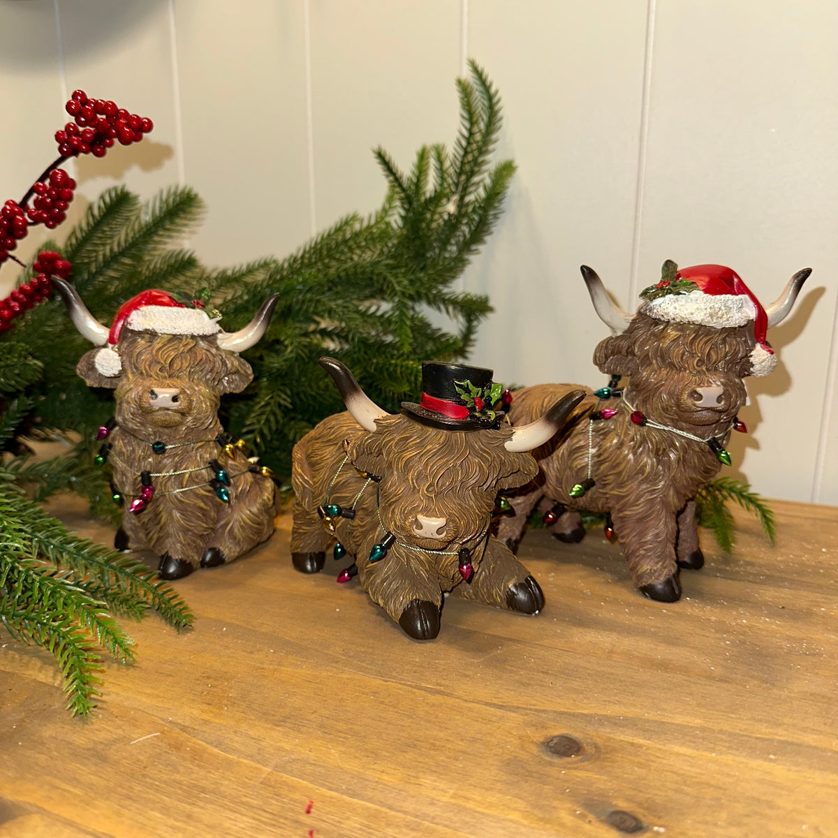 Christmas Lights Highland Cow