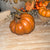 Squatty Harvest Pumpkin