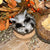 Harvest Woodland Animal