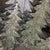 Glistening Winter Tree | Silver