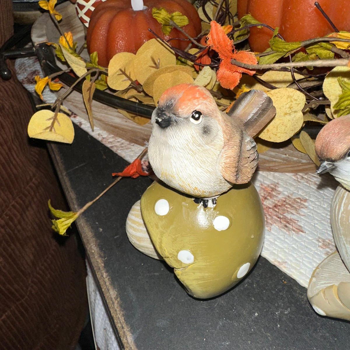 Harvest Bird on Mushroom