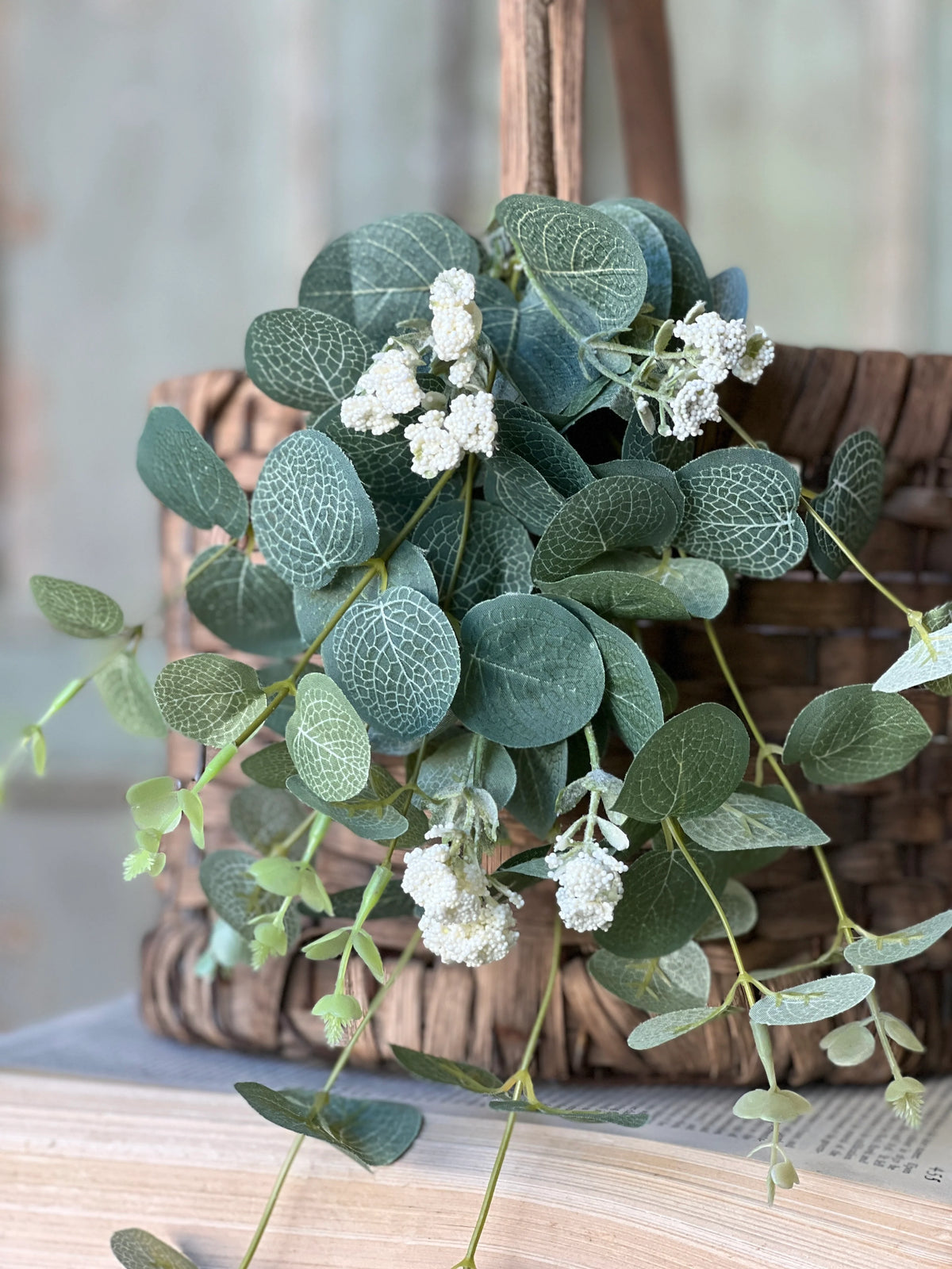 Sweet Seed Eucalyptus Bush | 13&quot;