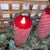 Frosted Red Candle | Flicker Flame | Battery Operated