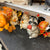 Harvest Woodland Animals