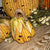 Corn Kernel Pumpkin