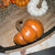 Squatty Harvest Pumpkin