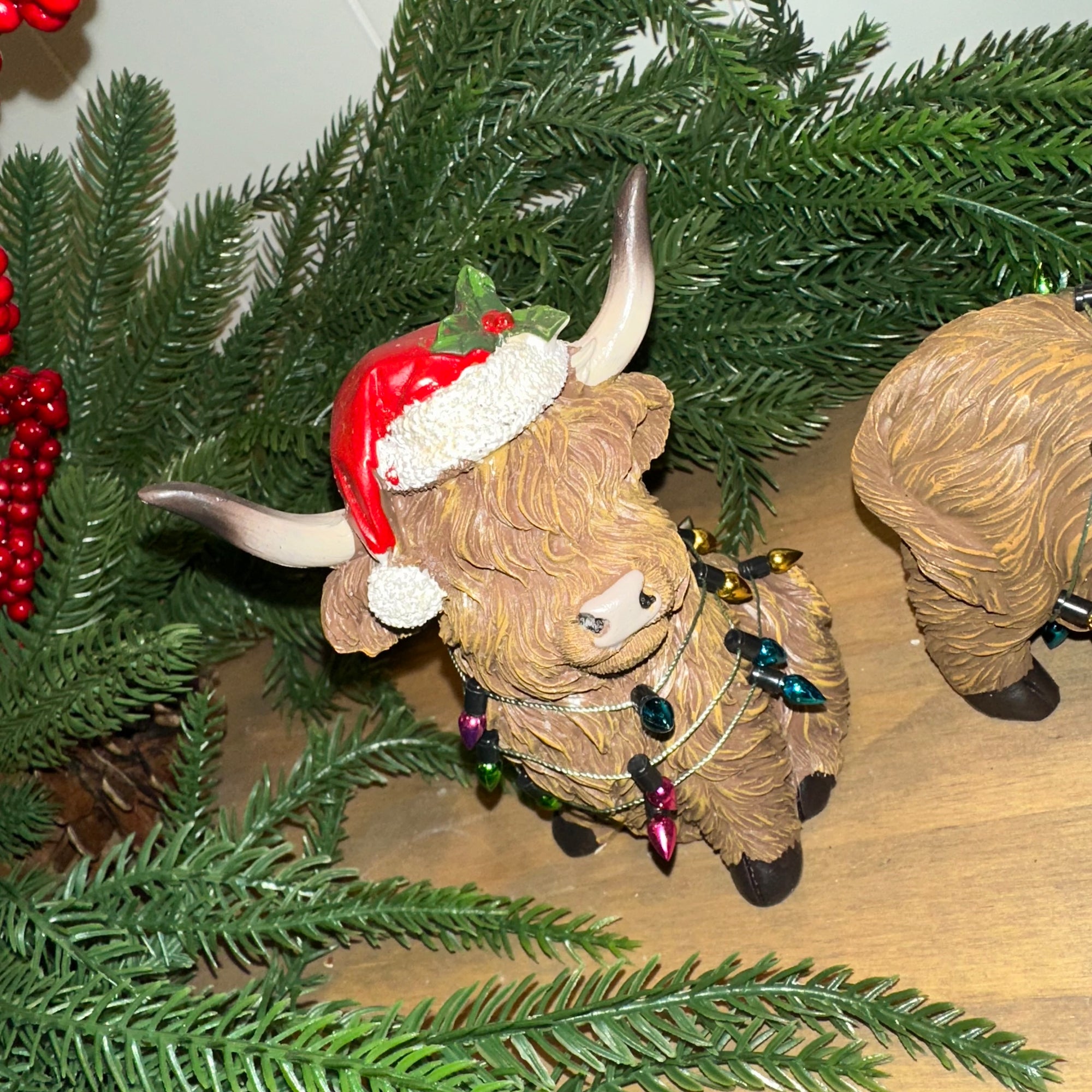 Christmas Lights Highland Cow