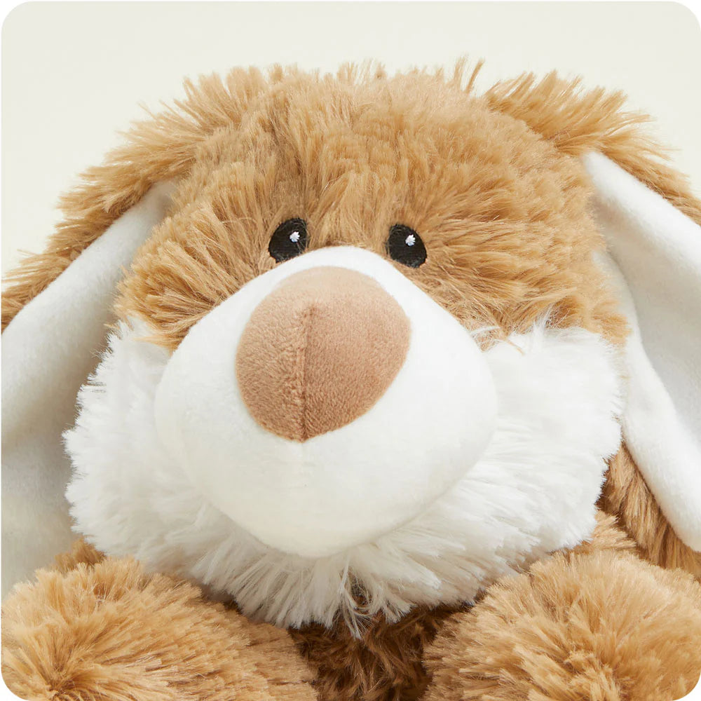 Bunny | Warmies® Cozy Plush