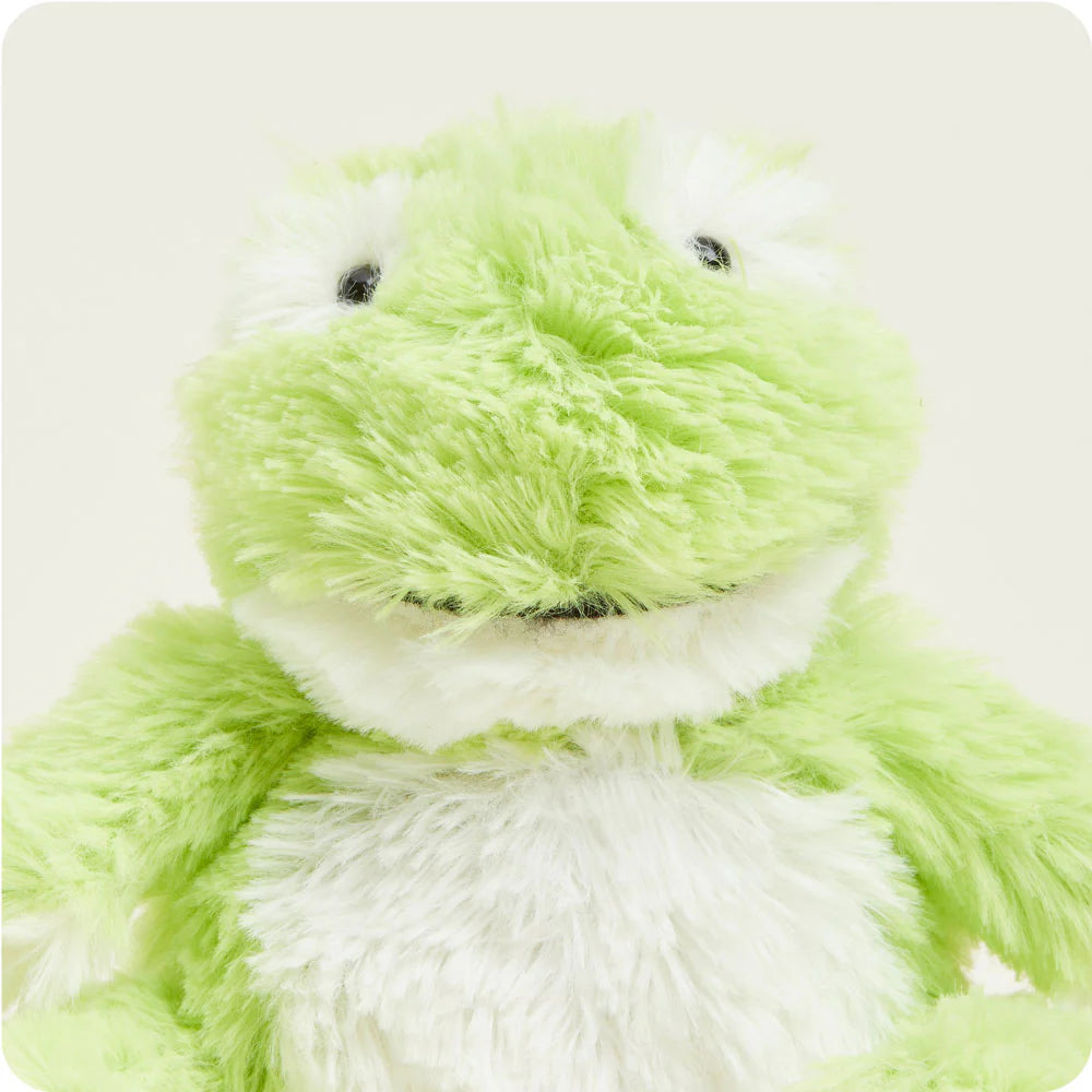 Frog | Junior | Warmies® Cozy Plush