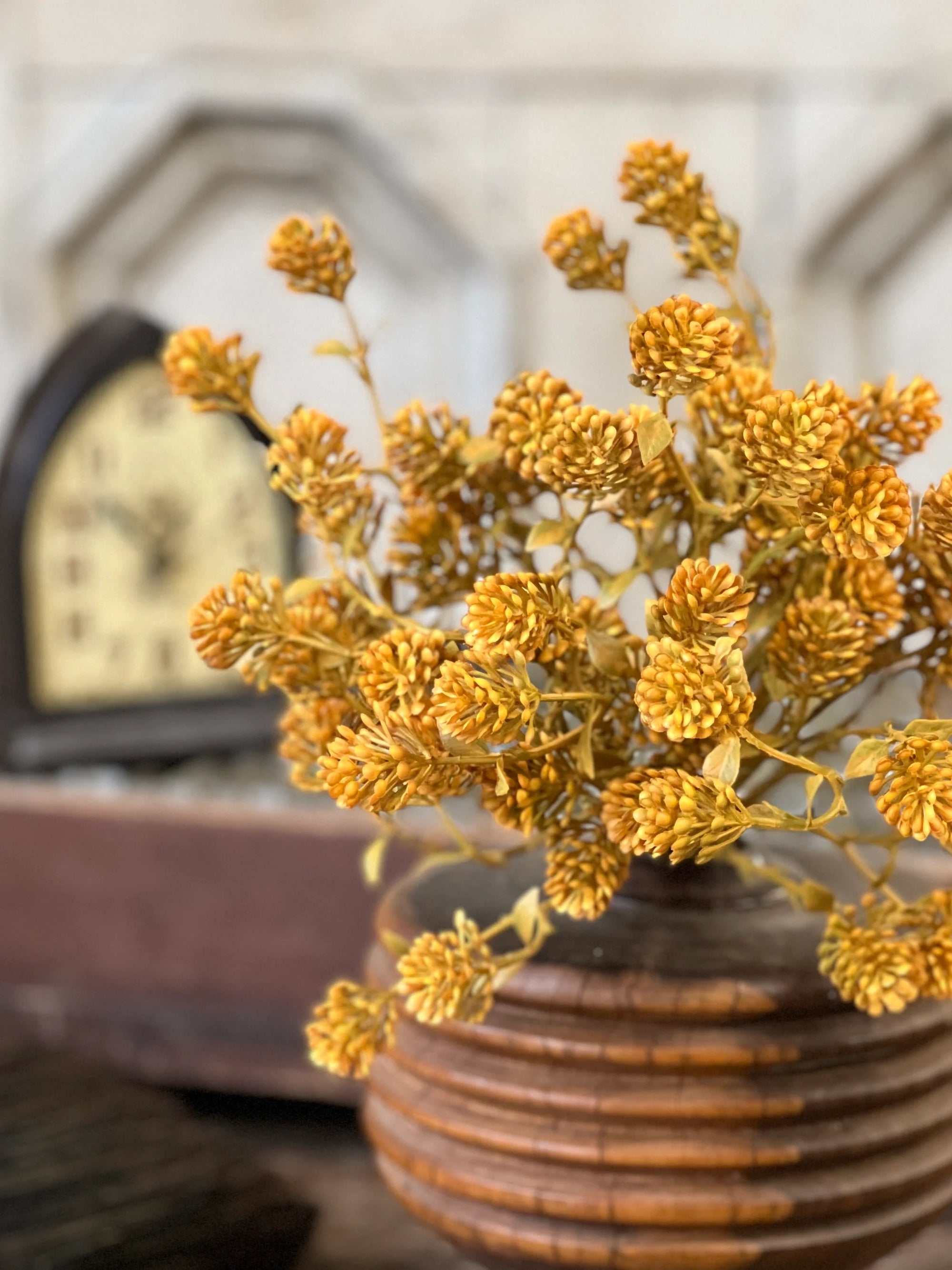 Russet Cone Bush | 12" | Golden