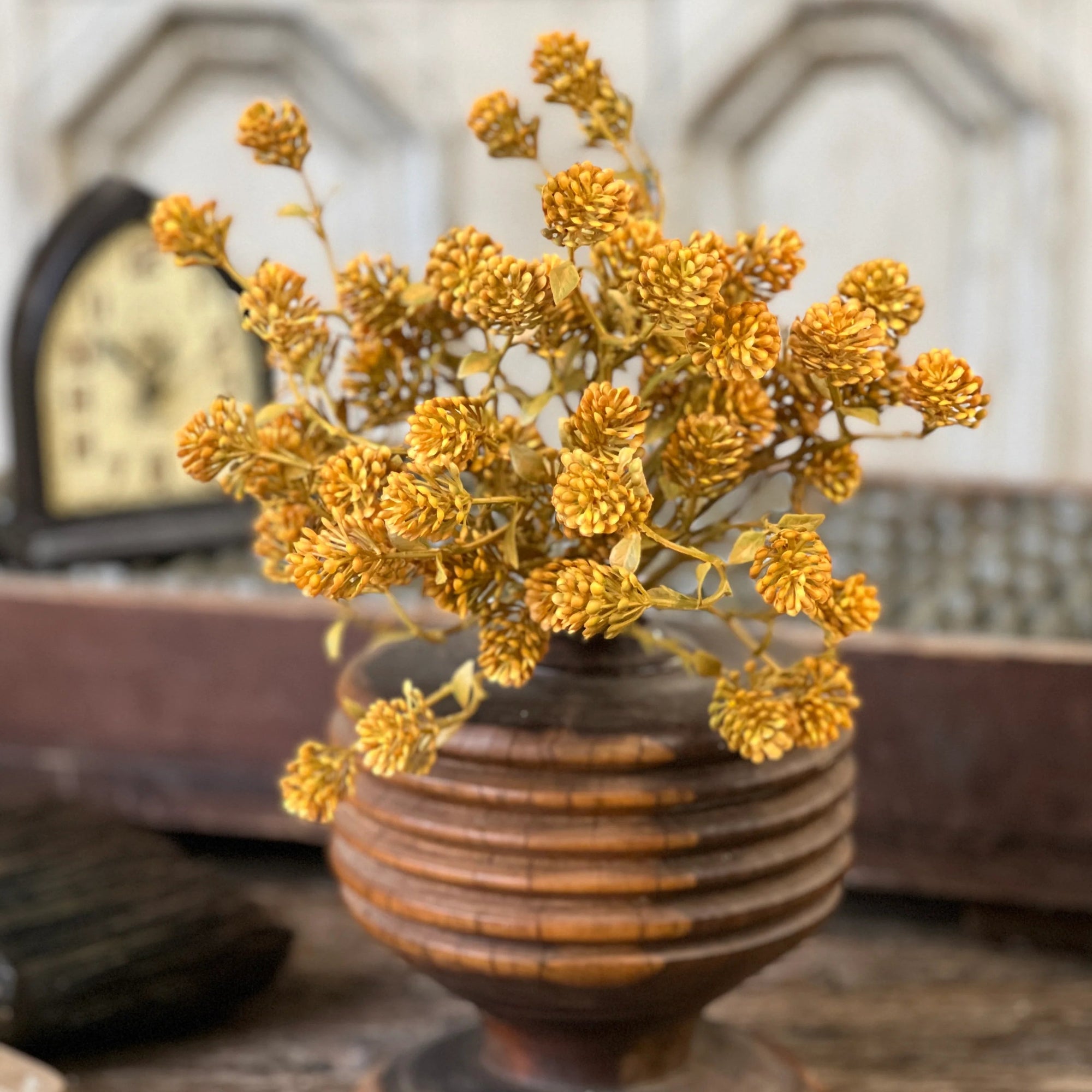 Russet Cone Bush | 12" | Golden