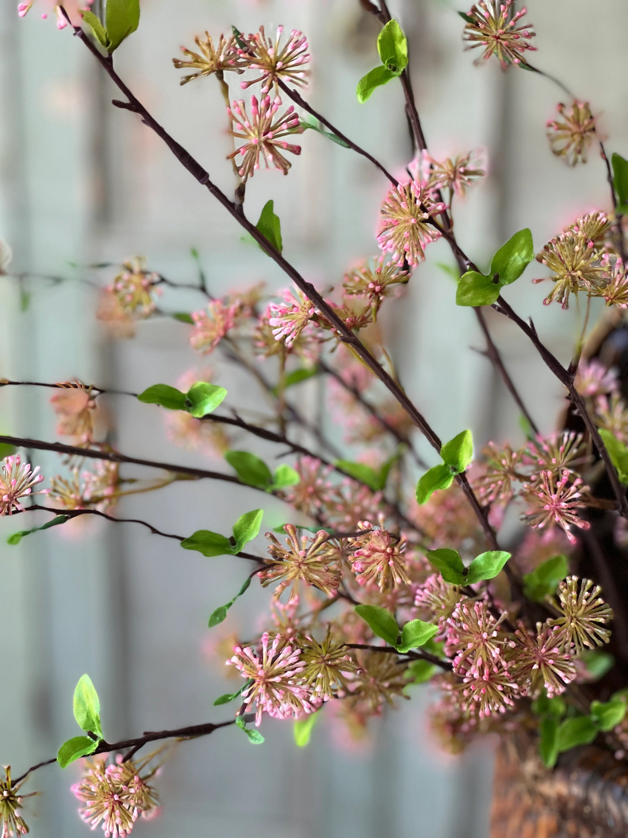 Starflower Blooms | Dusty Pink