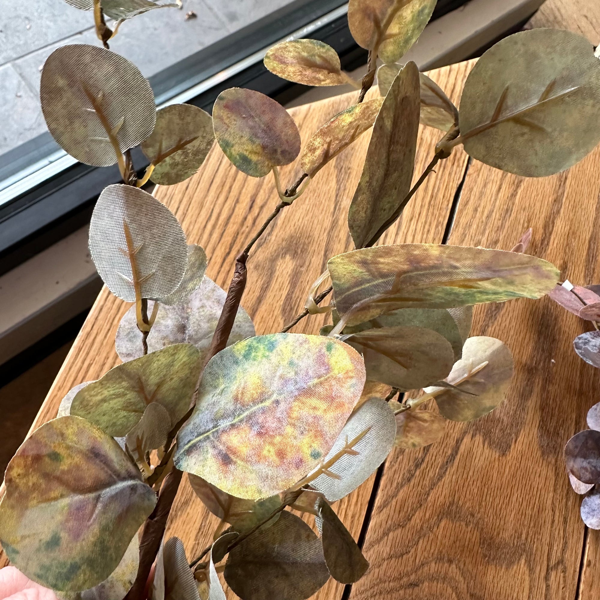 Autumn Eucalyptus Spray