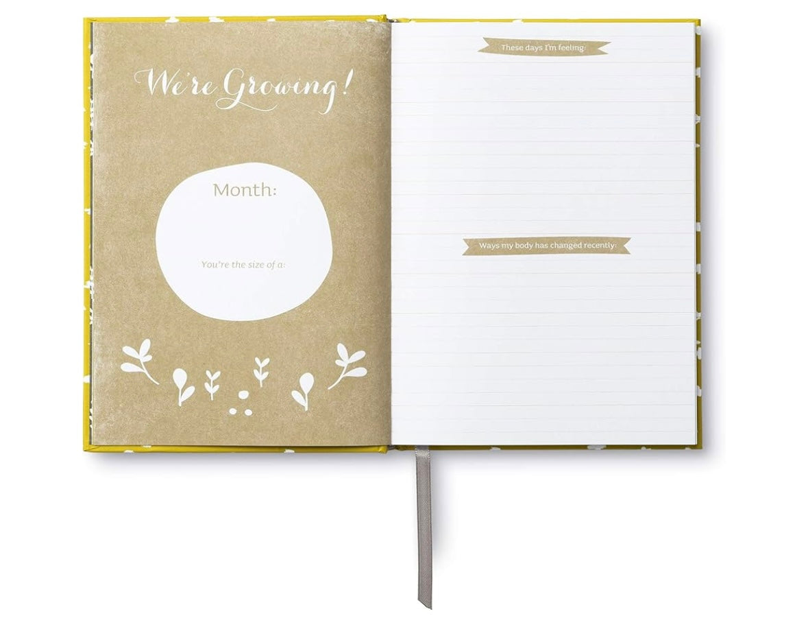 Expecting You | A Keepsake Pregnancy Journal