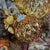 Lighted Pumpkin | Handblown Mercury Glass