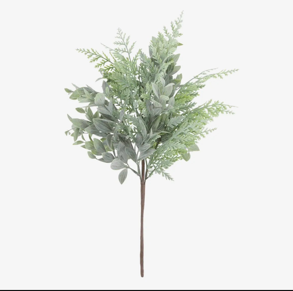 Fern Stem | Soft Touch
