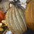 Harvest Pumpkin Sitter