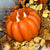 Pumpkin Motion Flame Candle | 3-Wick | Battery Operated