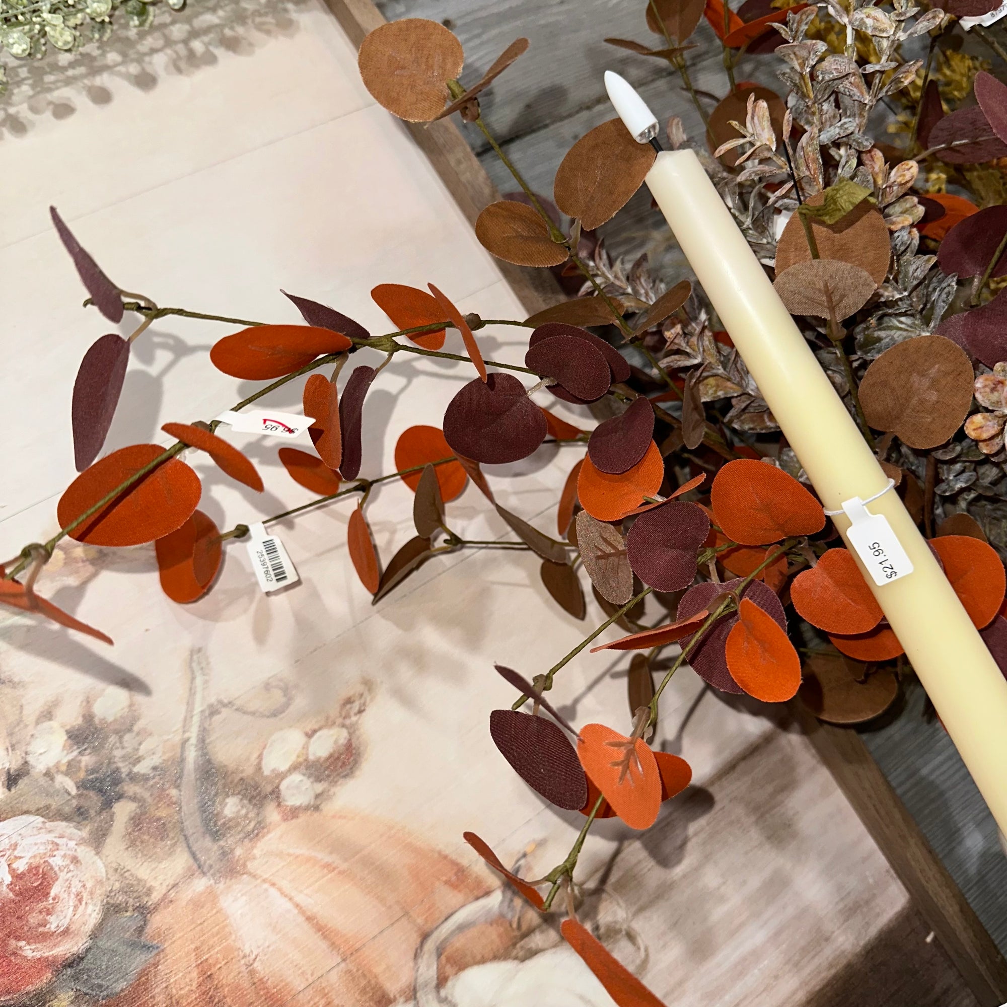 Harvest Eucalyptus Stem