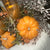 Petal Tray & Pumpkins | Autumn Tabletop Display