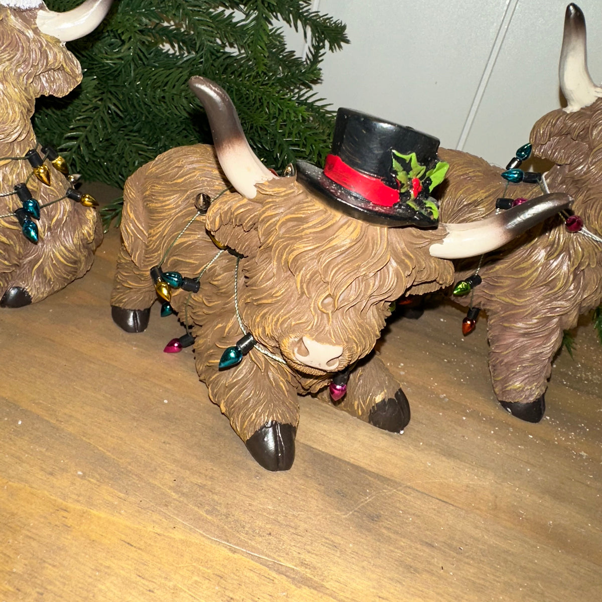 Christmas Lights Highland Cow