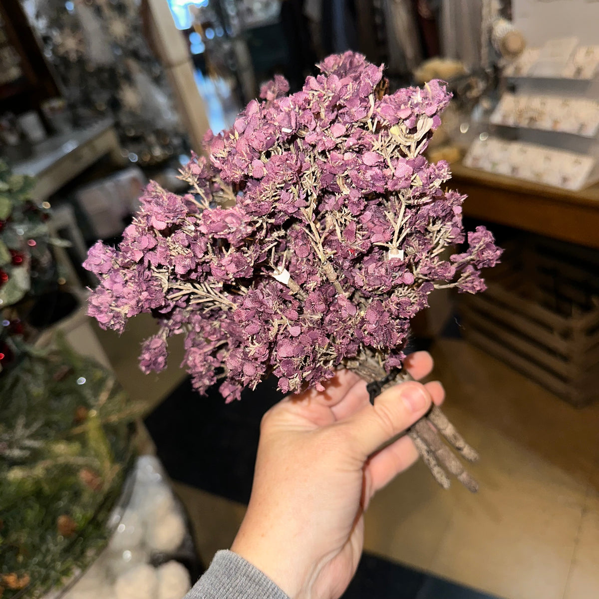 Bud Bush | Plum | Bundle of 3 Bushes