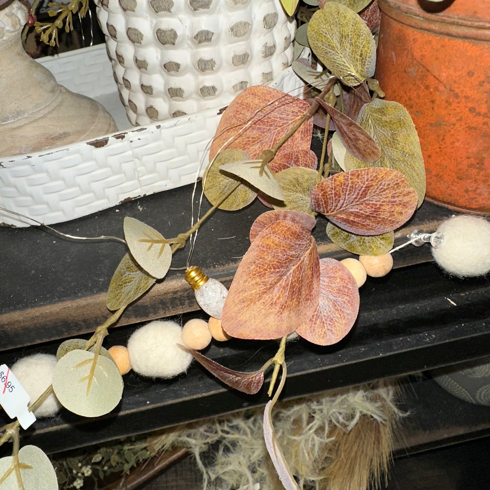 Harvest Eucalyptus Stem