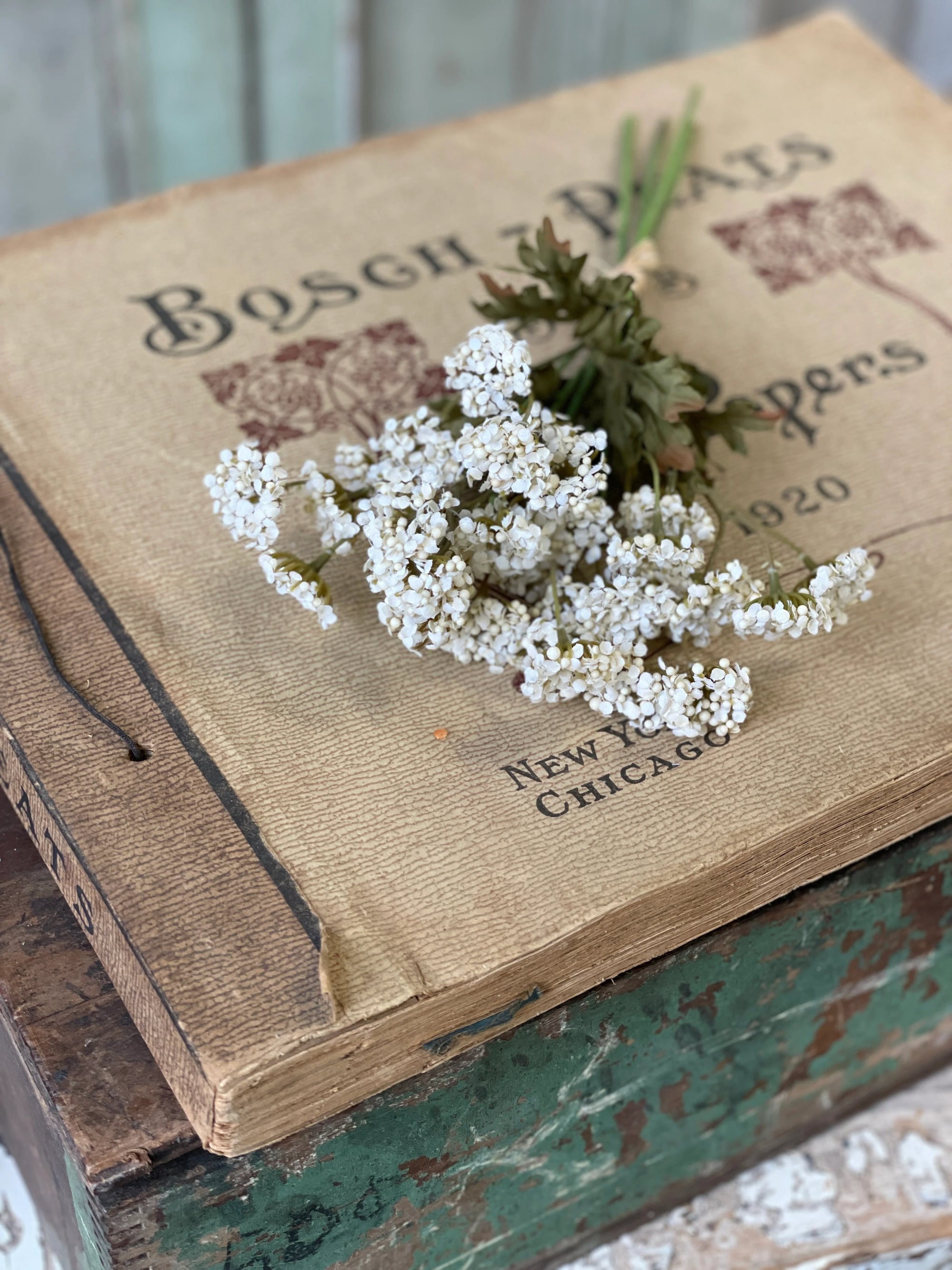 Fennel Lacey Flower Bush | Cream | 13"
