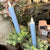 Taper Candle | Blue | Flicker Flame | Battery Operated