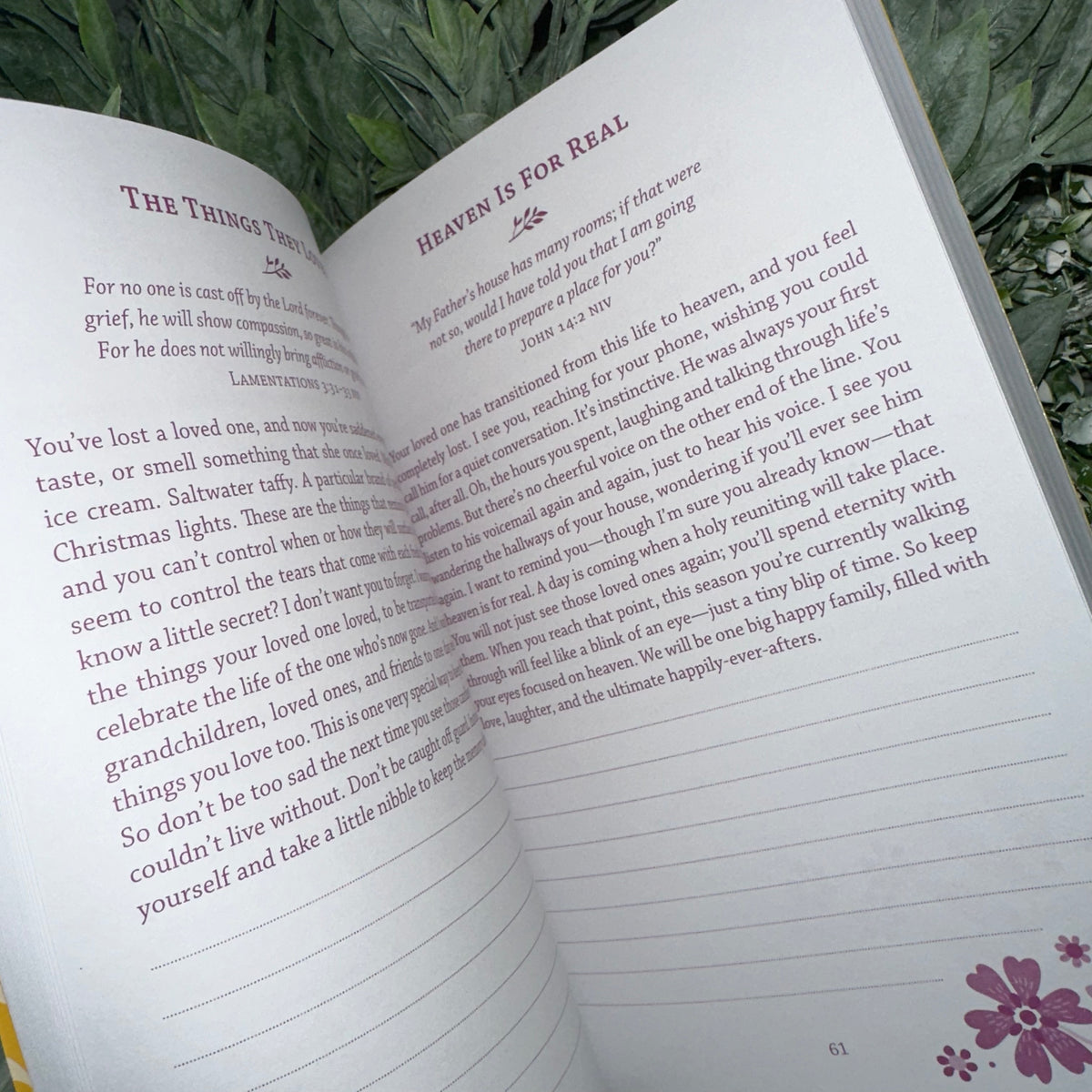 When Jesus Speaks to a Grieving Heart | Devotional