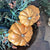 Harvest Pumpkin