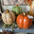 Pumpkin Leafy Luminary